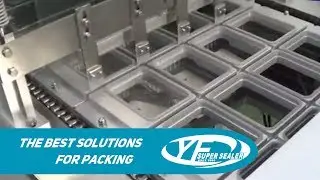 MAP Vacuum Sealing Machine (ET-22S4) - YF SUPER SEALER