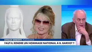 Punchline - Faut-il rendre un hommage national à Brigitte Bardot?