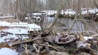 Local land owner donates entire lot to preserve the area