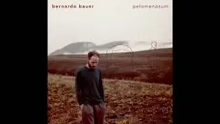 Bernardo Bauer - Dois Caminhos