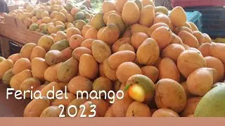 Expo mango 🥭 2023, Baní , República Dominicana