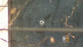 Stray Bullet Into School