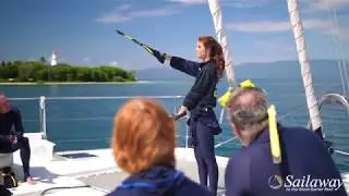 Sailaway Full Day Low Isles Cruise Port Douglas