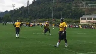 Stephon Tuitt, Tyler Matakevich collide at Steelers practice, DEs run routes