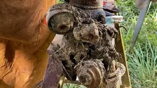 Cow's foot Tv Cleaning soil and remove the screw from cow hoof esp. 1666