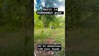 Donation is dead: Teach Haiti how to fish and 10X their production services.