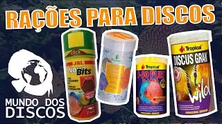 TUDO SOBRE RAÇÕES PARA ACARÁ DISCOS !