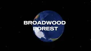 Broadwood Forest &ndash; Strong Northland Investment