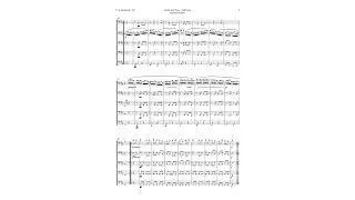 Rondo Alla Turca by Mozart for Bassoon Quintet | SHEET MUSIC