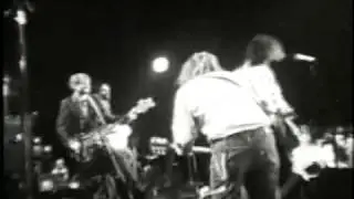 WILCO - DELI TRAY INCIDENT 1997