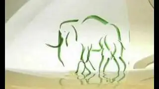 Children Identity - Elephant