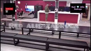 Zadruga 6 - Pored zmija, žaba, pacova, miševa...pojavili i stršljeni! Bas glamurozno!