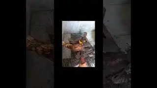 Beef paya cleaning #viral #shortvideo #eid #shortstoday Subscribe my channel