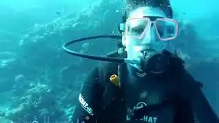 Introductory dive in Hurghada, Red Sea, Egypt   Dive Hurghada com