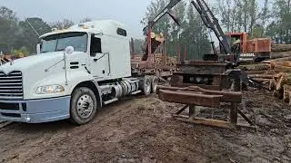 Logger and Log Trucks