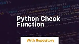 python check function