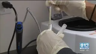 COVID-19 Infection Rate Flattens As Death Toll Continues To Rise