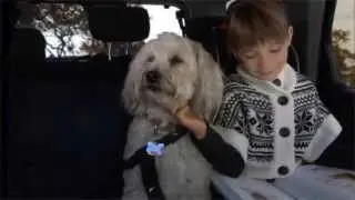 Wahl 2011 - Part of the Family  TV Commercial