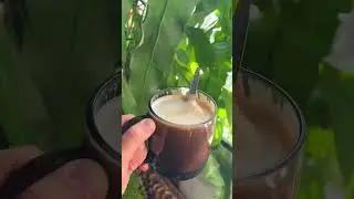 Начало дня #aesthetic #urbannature #coffeetime #cat