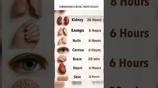 Human Organs Survival Time After Death | Amazing Facts
