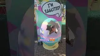 Eggcited 😍 #easteregg #egghunt2025 #SydneyOlympicshowground