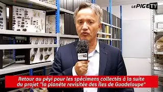 Retour au péyi pour les spécimens collectés du projet « la planète revisitée des îles de Guadeloupe»