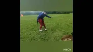 КА Хайзер 15 месяцев