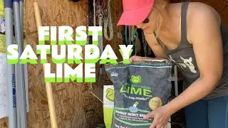 First Saturday Lime: The Secret Weapon for Happy, Healthy Horses