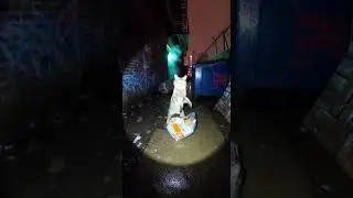 Bodycam Shows Cat Committing FELONY... Then a Chase