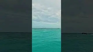 Beautiful Spotted Eagle Ray Jumping #australia #queensland #dance #eagleray #jump #fly