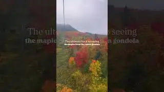 Did you know Lutsen Mountain has a 360 live camera?! (Send to a friend who&rsquo;s heading to Lutsen this