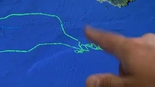 The Science of tracking technology- You won't believe where Gray Seals go | Sci NC