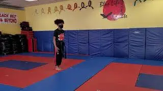 Blue Life Karate Study guide..Sparring combinations #1, #2, and #3.