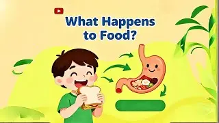 How Digestion Works 🤔 | Fun Science for Kids!- Kidzery Channel