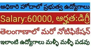 latest governament jobs 78 assistant accounts officer notification 2018 apply online