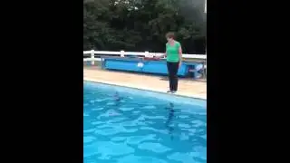 Head Teacher jumps in pool