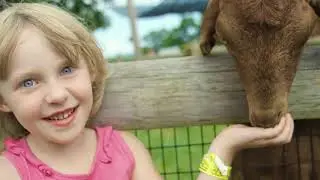 Cherry Crest Adventure Farm - 