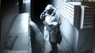 Скрепы