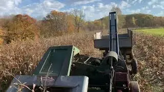 Picking corn with the IH 706 and new idea 324 in Wisconsin