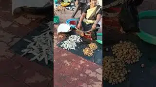 Machhali market, samudra ka machhali market samudra, welcome to friends My vlog 