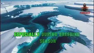 Antarctic Current Slowdown and Global Circulation-Podcast Part 2  #antarctica  #science #podcast