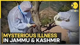 India: Mysterious Illness In Jammu And Kashmir; 17 Dead in Rajouri | World News | WION