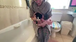 How To Wash Scared/Stray Cat