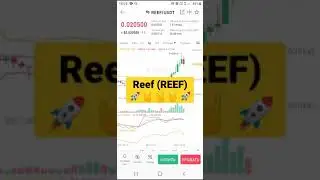 Reef (REEF)  what is your forecast until the end of 2021 ?