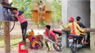 New funny videos😂।new funny videos 2020 people doing stupid things😀।funny videos try not to laugh