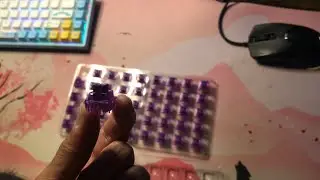 JELLY PURPLE SWITCHES FOR OSU!?| Akko Jelly Purples Sound Test + Gameplay