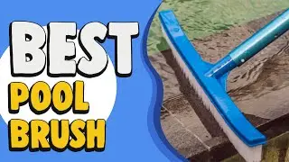 Best Pool Brush &ndash; Editor's Pick!