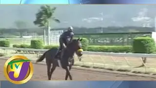 TVJ Sports News Today Headline -  March 25 2016