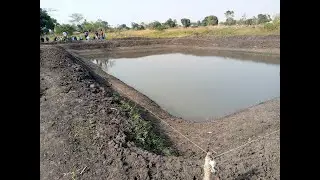 Fish farming: How to make a small fish pond locally.