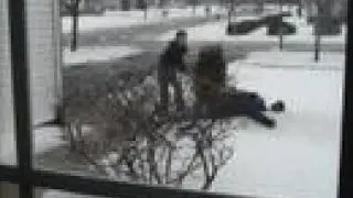 Diary of a Snow Shoveler